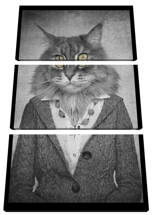 Katzenkopf mit Menschenkörper Blazer B&W Detail Leinwanbild 3Teilig