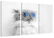 Coole Katze mit runder Sonnenbrille B&W Detail Leinwanbild 3Teilig