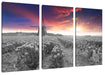 Tulpenfeld mit Mühle bei Sonnenuntergang B&W Detail Leinwanbild 3Teilig