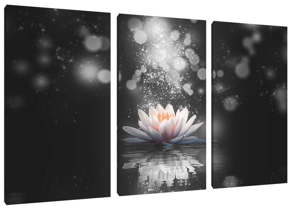 Magische Lotusblüte mit Glitzerstaub B&W Detail Leinwanbild 3Teilig