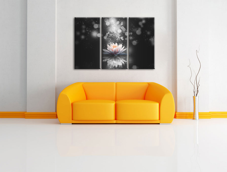 Magische Lotusblüte mit Glitzerstaub B&W Detail Leinwanbild Wohnzimmer 3Teilig