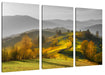 Hügelige Herbstlandschaft bei Sonnenuntergang B&W Detail Leinwanbild 3Teilig