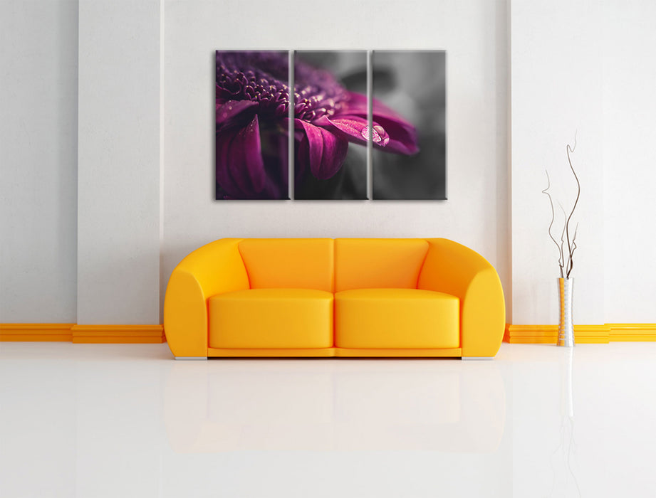 Nahaufnahme Tropfen auf lila Blume B&W Detail Leinwanbild Wohnzimmer 3Teilig