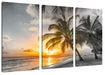 Palmen im Sonnenuntergang auf Barbados B&W Detail Leinwanbild 3Teilig