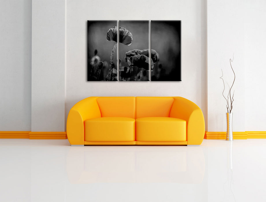 Mohnblumen auf einer Wiese in der Nacht, Monochrome Leinwanbild Wohnzimmer 3Teilig
