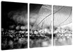 Nahaufnahme weißes Blattgerüst im Regen, Monochrome Leinwanbild 3Teilig