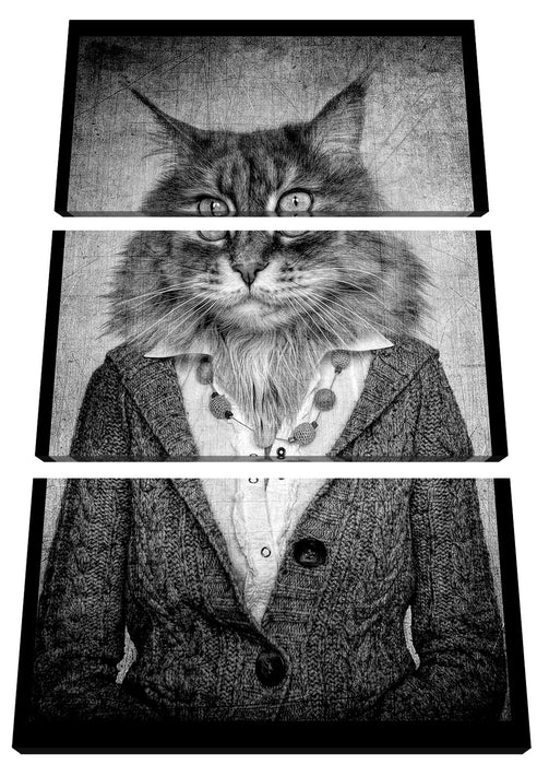 Katzenkopf mit Menschenkörper Blazer, Monochrome Leinwanbild 3Teilig