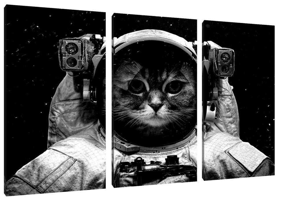 Astronautenkatze im Weltraum, Monochrome Leinwanbild 3Teilig