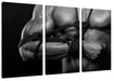 Muskulöser Mann gefesselt Bondage, Monochrome Leinwanbild 3Teilig