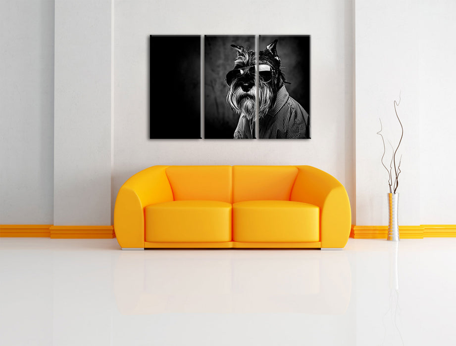Lustiger Hund mit Hemd und Sonnenbrille, Monochrome Leinwanbild Wohnzimmer 3Teilig