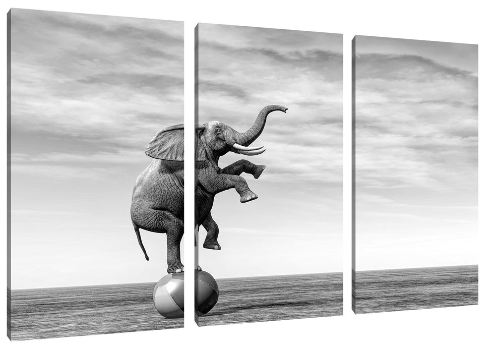 Elefant in der Wüste balanciert auf Ball, Monochrome Leinwanbild 3Teilig