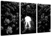 Kleines Mädchen in Rosentunnel, Monochrome Leinwanbild 3Teilig