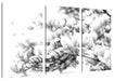 Nahaufnahme blühender Magnolienbaum, Monochrome Leinwanbild 3Teilig