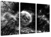 Farbenvolle Sternennacht bei Vollmond, Monochrome Leinwanbild 3Teilig