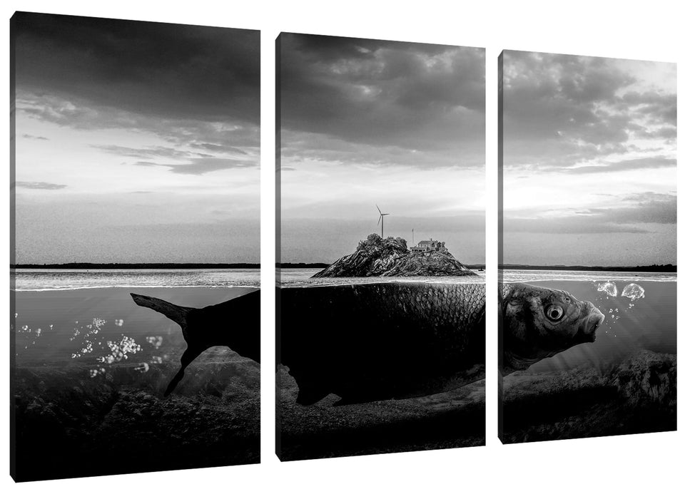 Abstrakter Fisch mit Felsrücken, Monochrome Leinwanbild 3Teilig