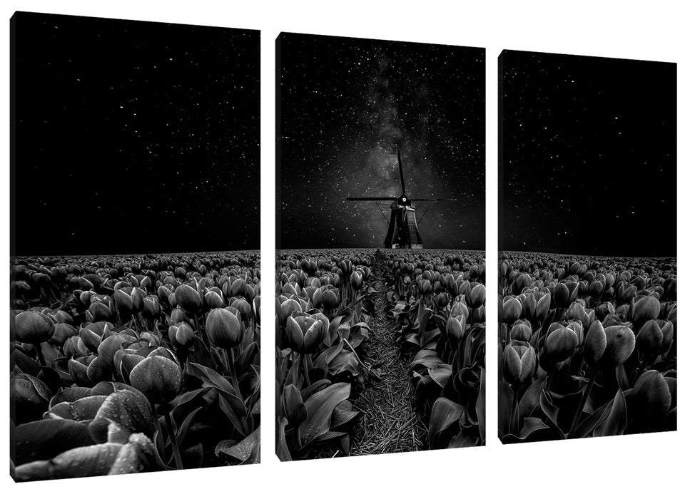 Tulpenfeld mit Windmühle bei Nacht, Monochrome Leinwanbild 3Teilig