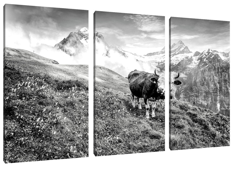 Kuh auf grüner Alm in den Bergen, Monochrome Leinwanbild 3Teilig
