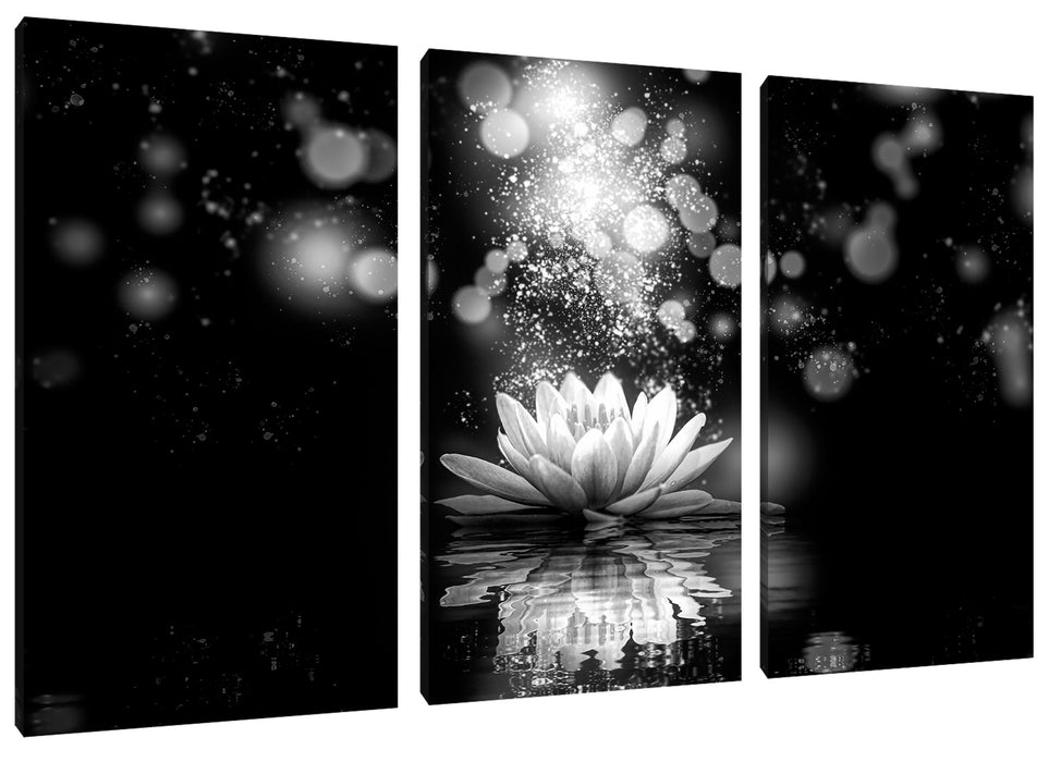 Magische Lotusblüte mit Glitzerstaub, Monochrome Leinwanbild 3Teilig