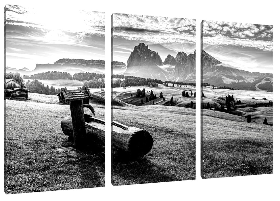 Wassertrog auf Wiese in den Dolomiten, Monochrome Leinwanbild 3Teilig