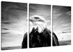 Weisskopfseeadler im Sonnenuntergang, Monochrome Leinwanbild 3Teilig