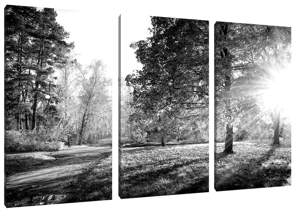 Weg durch bunten Herbstwald, Monochrome Leinwanbild 3Teilig