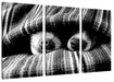 Hundeschnauzen unter Kuscheldecke, Monochrome Leinwanbild 3Teilig