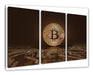 Bitcoin BTC mit Grafikkarte  Leinwandbild 3Teilig