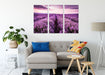 blühendes Lavendelfeld Leinwandbild Wohnzimmer 3Teilig