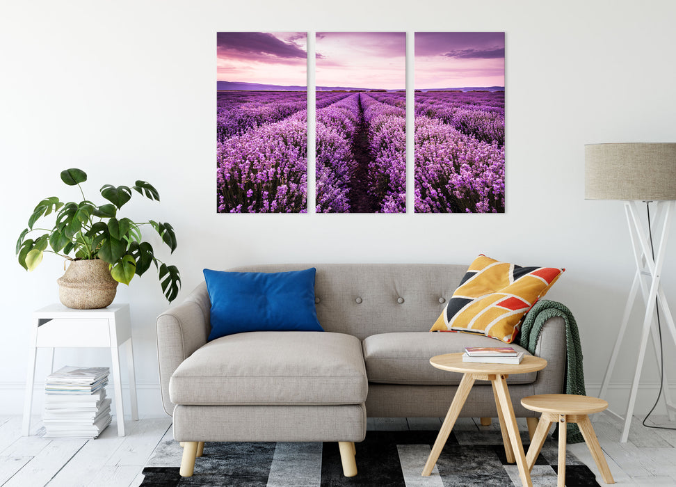 blühendes Lavendelfeld Leinwandbild Wohnzimmer 3Teilig