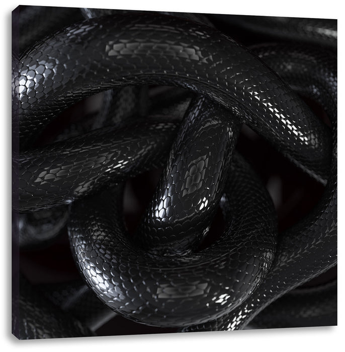 Schwarze elegante Schlange Leinwandbild Quadratisch