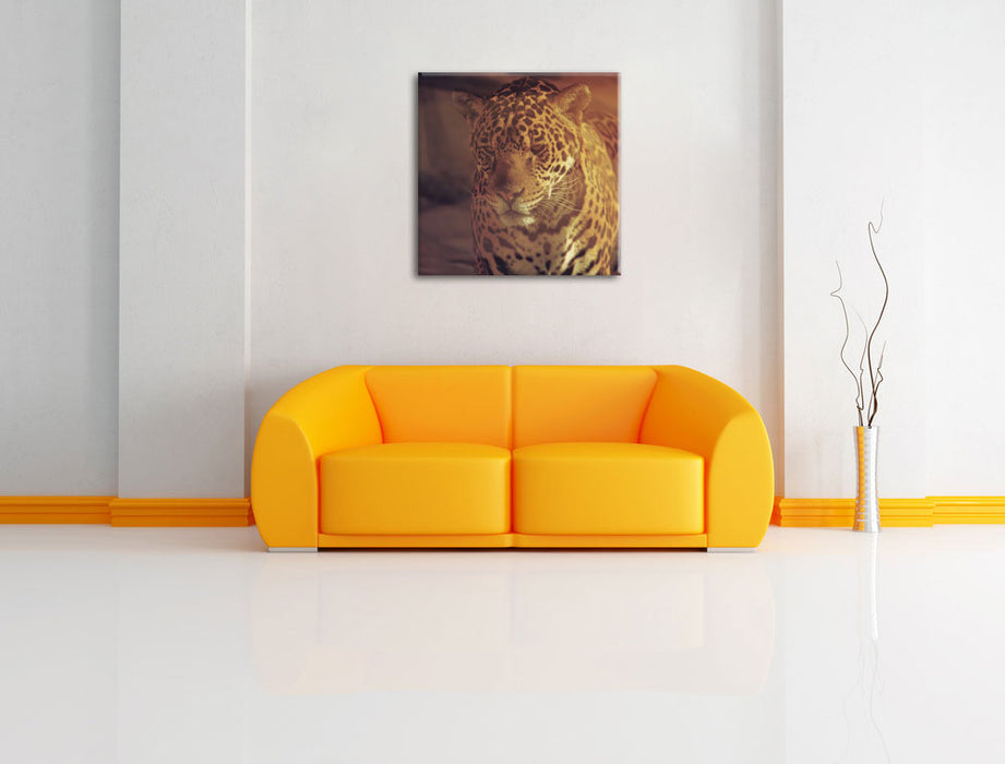 Anmutiger Leopard Leinwandbild Quadratisch über Sofa