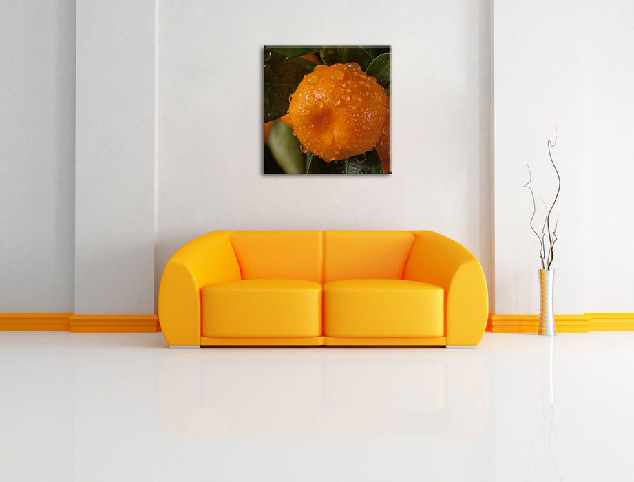 Saftige frische Orange Leinwandbild Quadratisch über Sofa