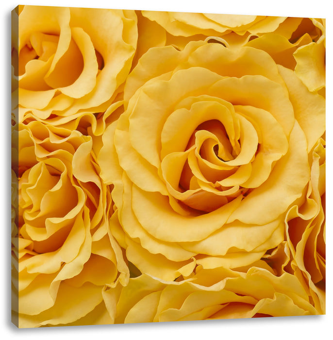 Wunderschöne gelbe Blüten Leinwandbild Quadratisch