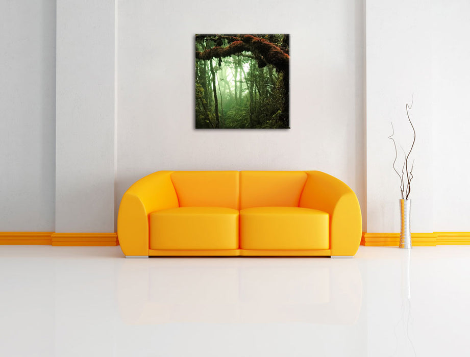 Geheimnisvoller Regenwald Leinwandbild Quadratisch über Sofa