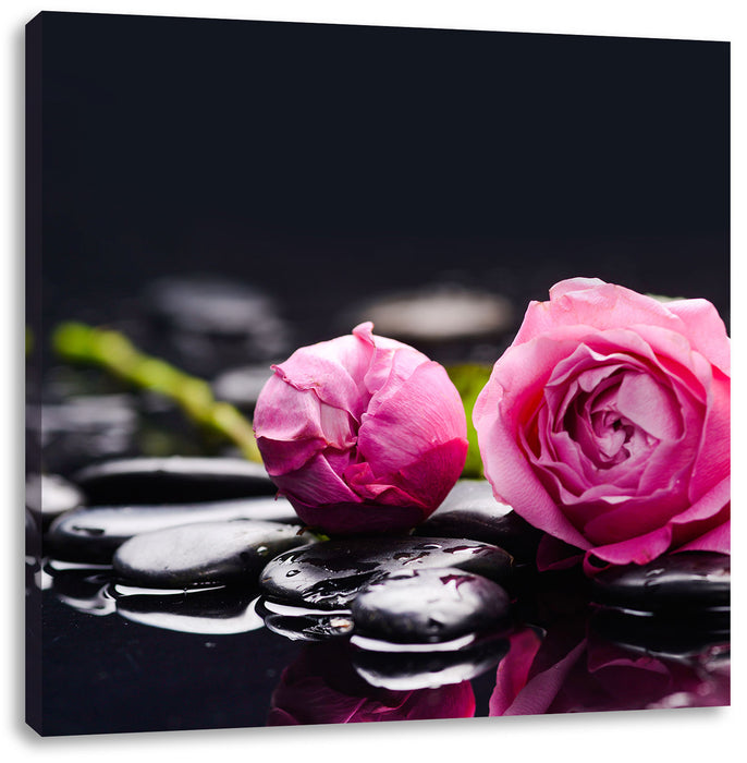 Rosa Rosenblüte Hintergrund Leinwandbild Quadratisch