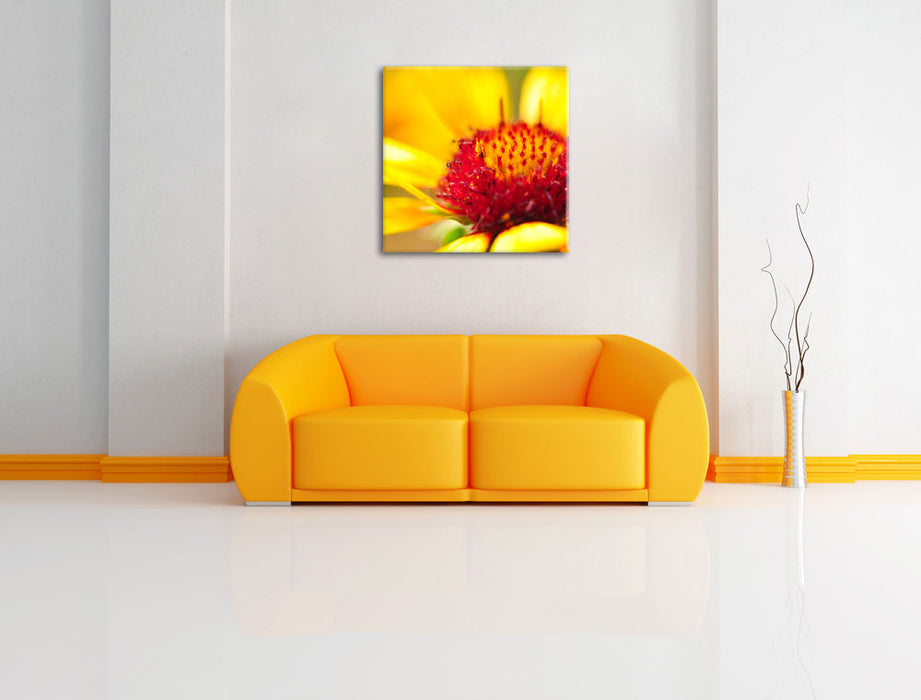 Blüte Nahaufnahme Leinwandbild Quadratisch über Sofa