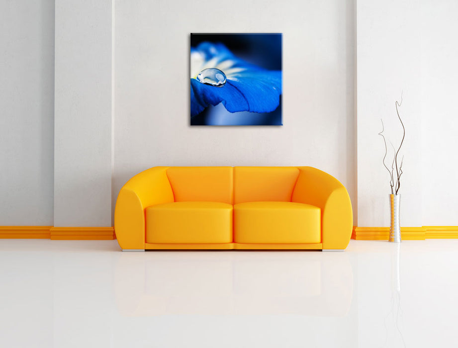 Wassertropfen auf blauer Blüte Leinwandbild Quadratisch über Sofa
