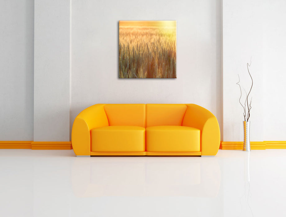 Getreidefeld Leinwandbild Quadratisch über Sofa