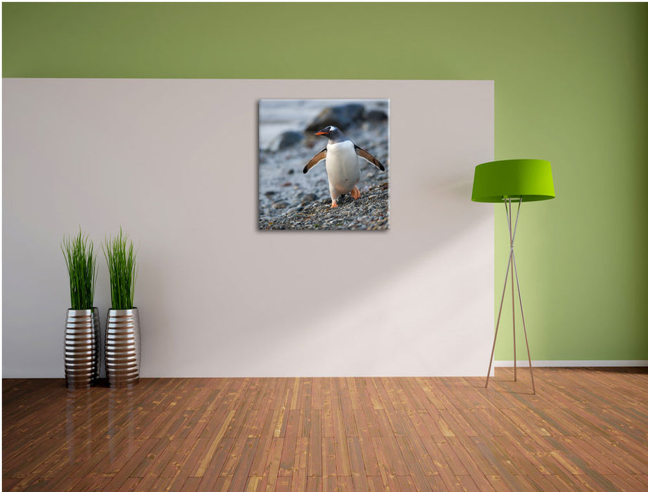 Pinguine Leinwand Quadratisch im Flur