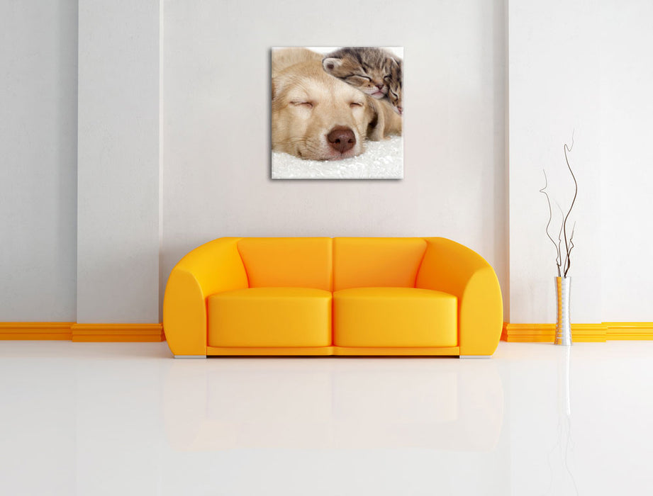 Käzchen und Hund schmusend Leinwandbild Quadratisch über Sofa