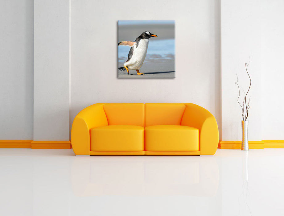 Pinguin am Strand Leinwandbild Quadratisch über Sofa
