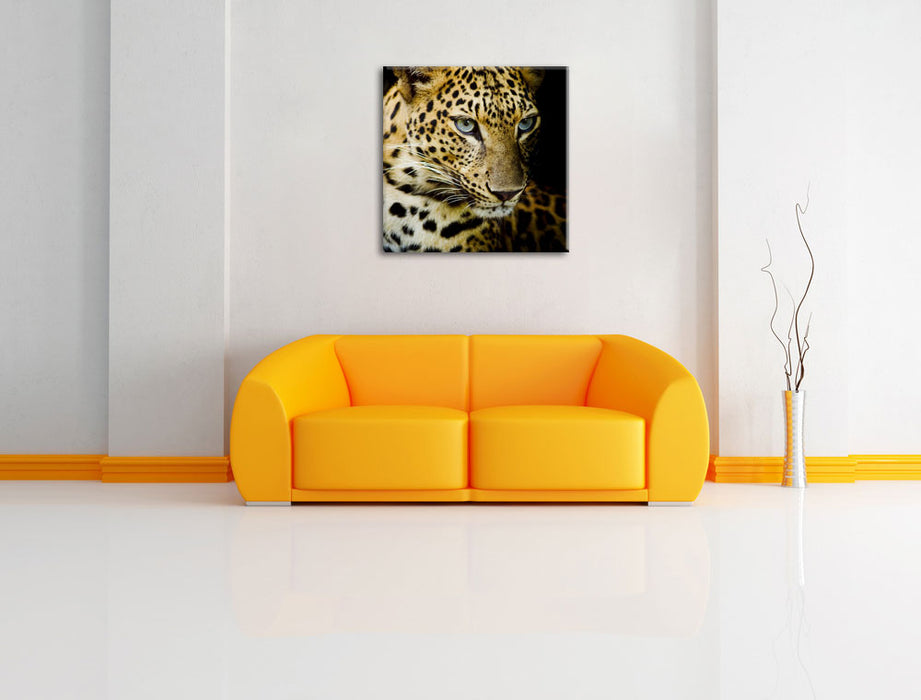 Leopard mit blauen Augen Leinwandbild Quadratisch über Sofa