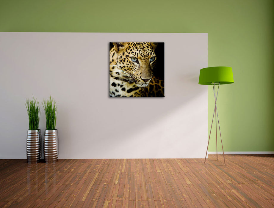 Leopard mit blauen Augen Leinwand Quadratisch im Flur