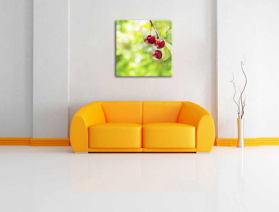 Kirsche Leinwandbild Quadratisch über Sofa