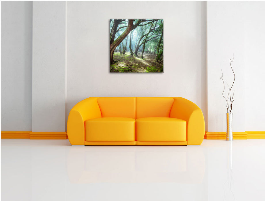 Wald Leinwandbild Quadratisch über Sofa