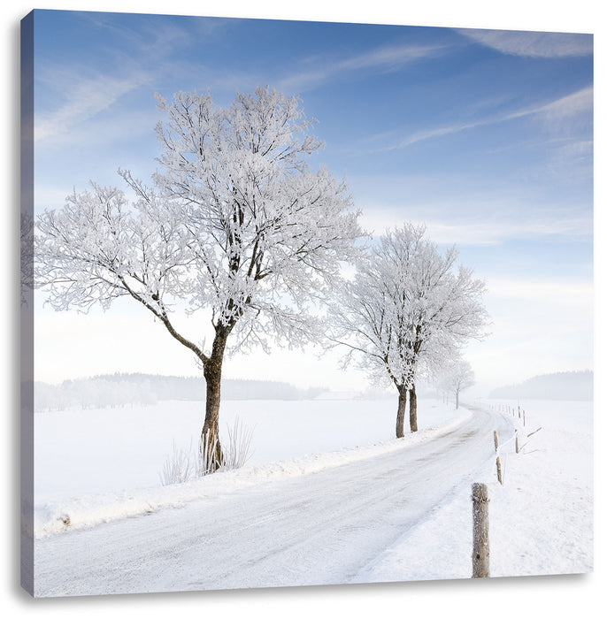 Baum im Schnee Leinwandbild Quadratisch