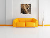 Löwe mit Löwenbaby Leinwandbild Quadratisch über Sofa