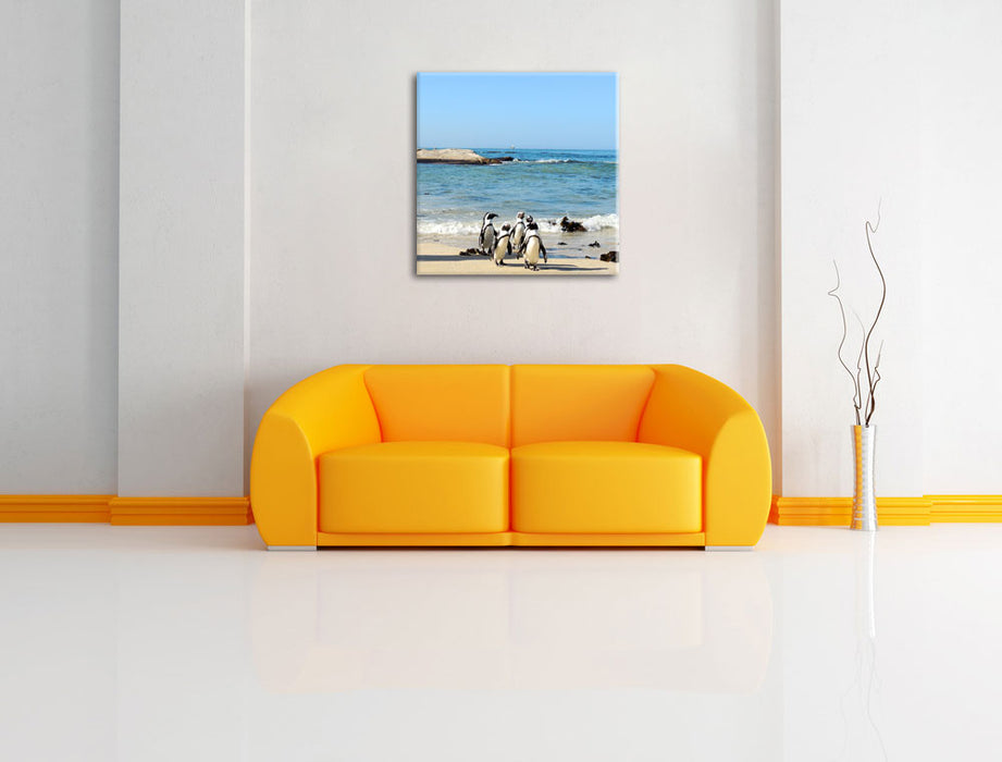 Pinguine am Strand Leinwandbild Quadratisch über Sofa