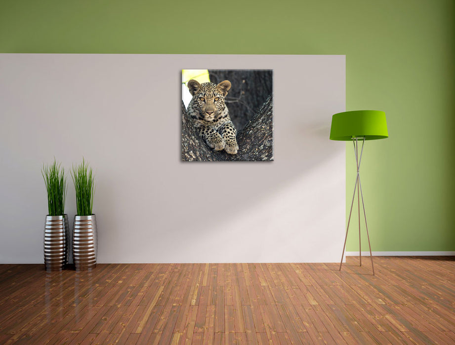 Leopardenbaby Leinwand Quadratisch im Flur