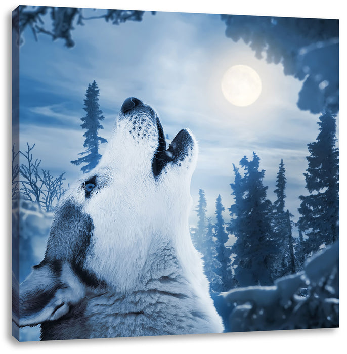 Wolf vor Mondlicht Leinwandbild Quadratisch